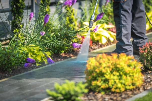 Best Fence Cleaning  in Old Miakka, FL