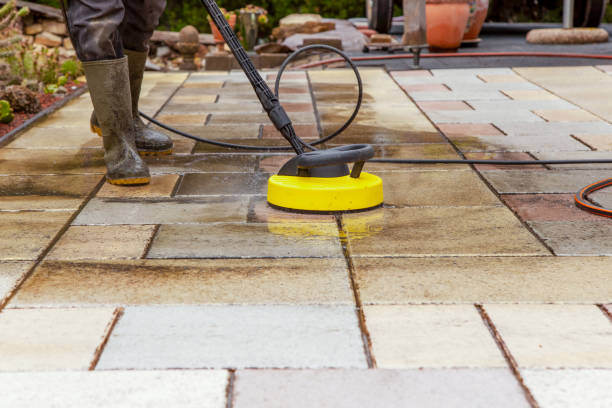 Best Roof Washing  in Old Miakka, FL